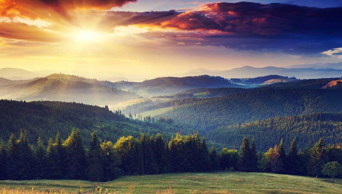 Glistening Mountains - 3 part harmony arrangement, performed by One Voice choir